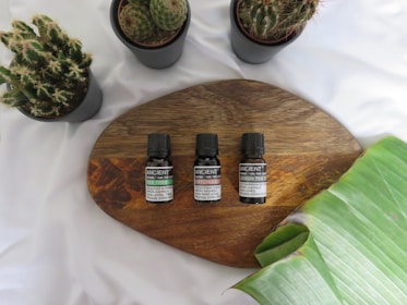 Bottles of Healmitra Ayurvedic oils and remedies arranged on a rustic wooden table.