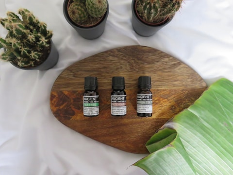 Three small bottles labeled 'Ancient' with different essential oils are arranged on a wooden board. Surrounding the board are various cacti in pots and a large green leaf partially visible at the bottom right. The background features a white fabric surface.