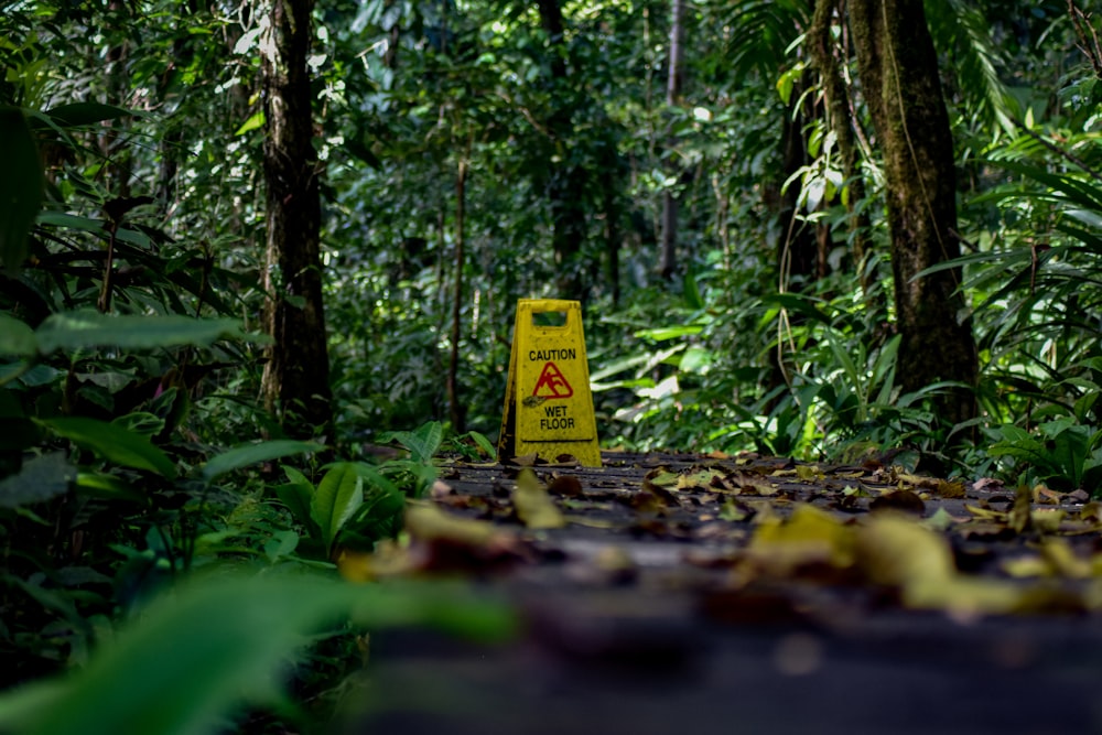 yellow caution wet floor sign surrounded by green plants and trees