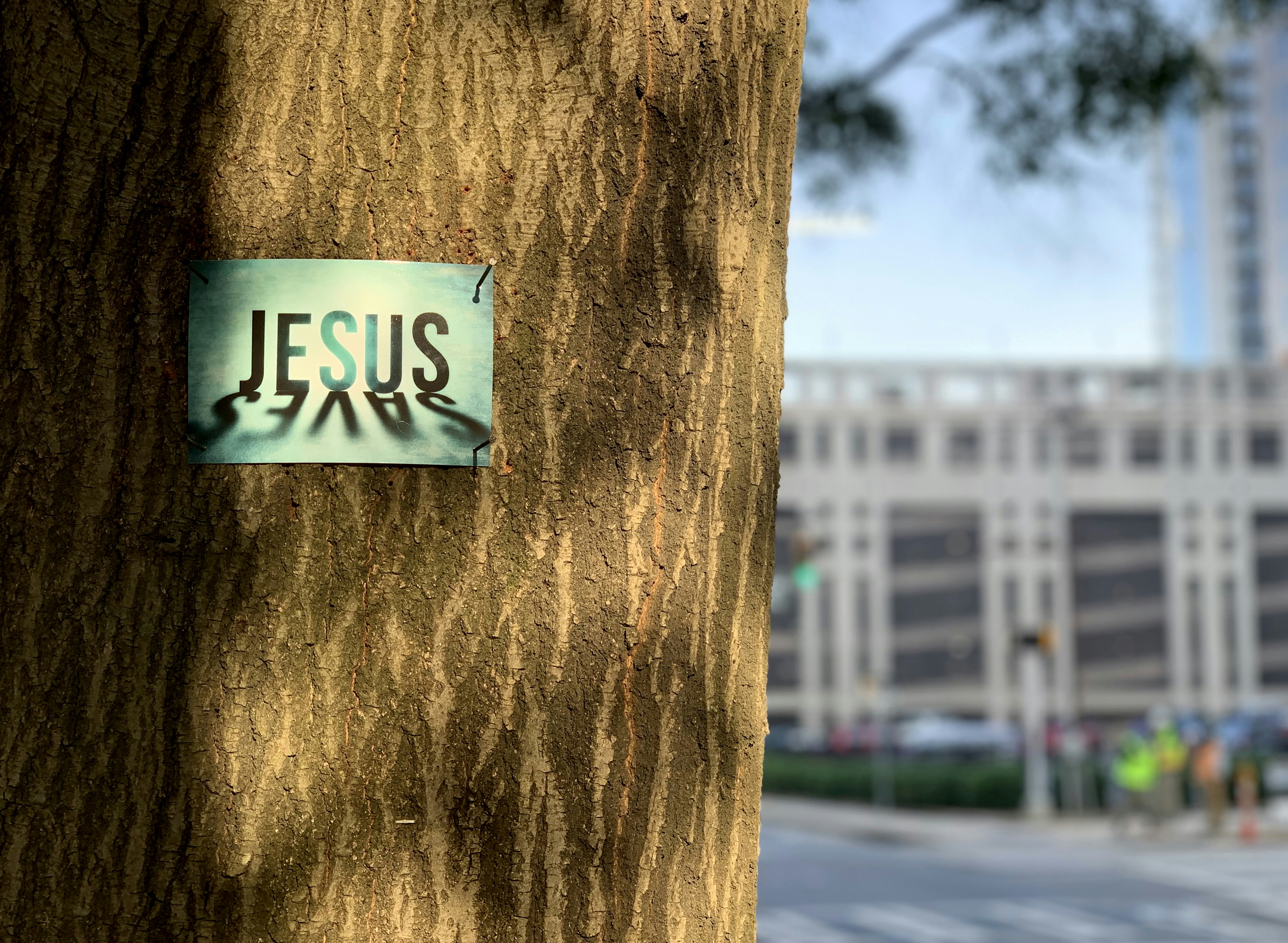 white and black no smoking sign on brown wooden post