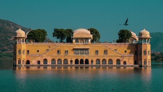 brown concrete building near body of water during daytime in Jal Mahal India