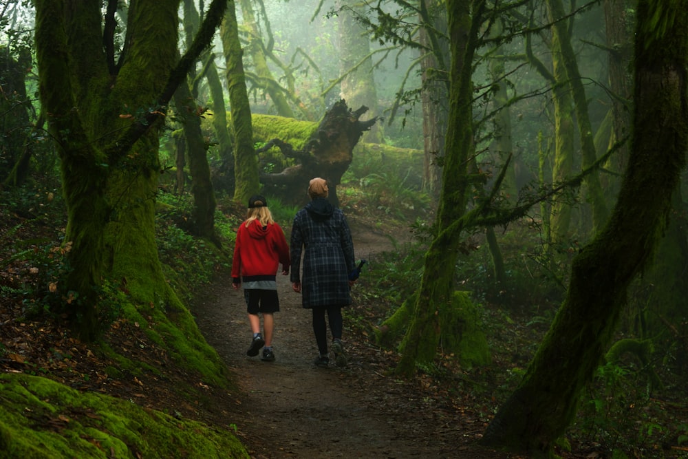 man in red and blue plaid dress shirt walking on pathway in the middle of forest