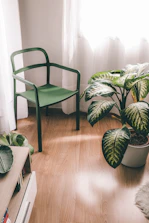 Soft natural light illuminating a cozy corner with a comfortable chair and plants.