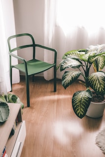 A serene corner featuring a comfortable chair surrounded by greenery.