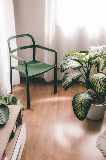 A cozy, sunlit corner with a simple wooden chair and a small potted plant on a windowsill.