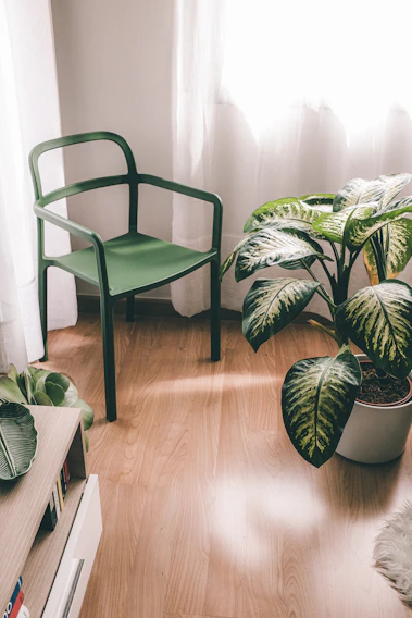 A cozy wicker chair nestled in a sunlit corner surrounded by green plants.