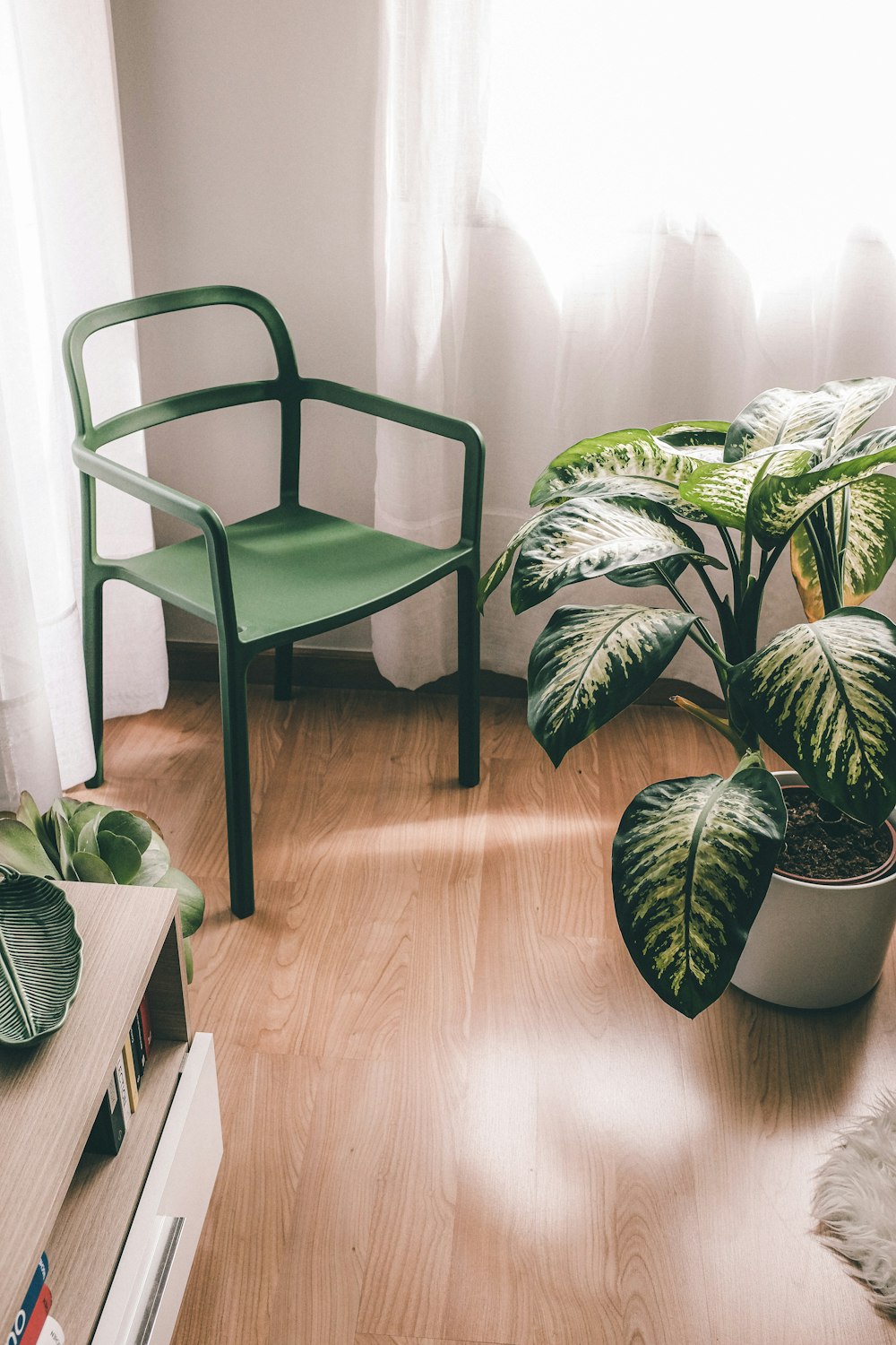 una habitación con una silla y una planta en maceta