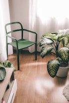 A cozy corner with a green chair placed beside a potted plant with large green leaves. Sunlight streams through a sheer curtain, illuminating the wooden floor and creating a serene atmosphere. A bookshelf with books is visible, adding a touch of warmth to the setting.