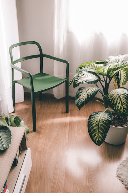 A cozy corner with a green chair placed beside a potted plant with large green leaves. Sunlight streams through a sheer curtain, illuminating the wooden floor and creating a serene atmosphere. A bookshelf with books is visible, adding a touch of warmth to the setting.