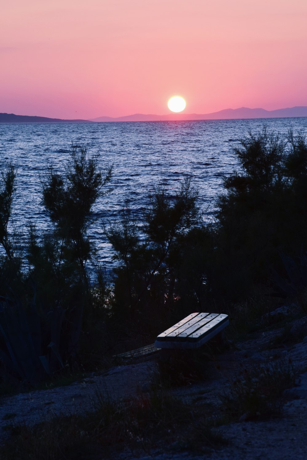 brown wooden bench near body of water during sunset