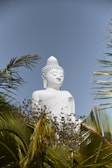 white buddha statue near green palm tree during daytime