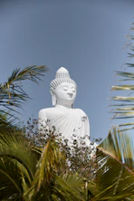 white buddha statue near green palm tree during daytime