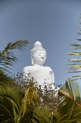 white buddha statue near green palm tree during daytime