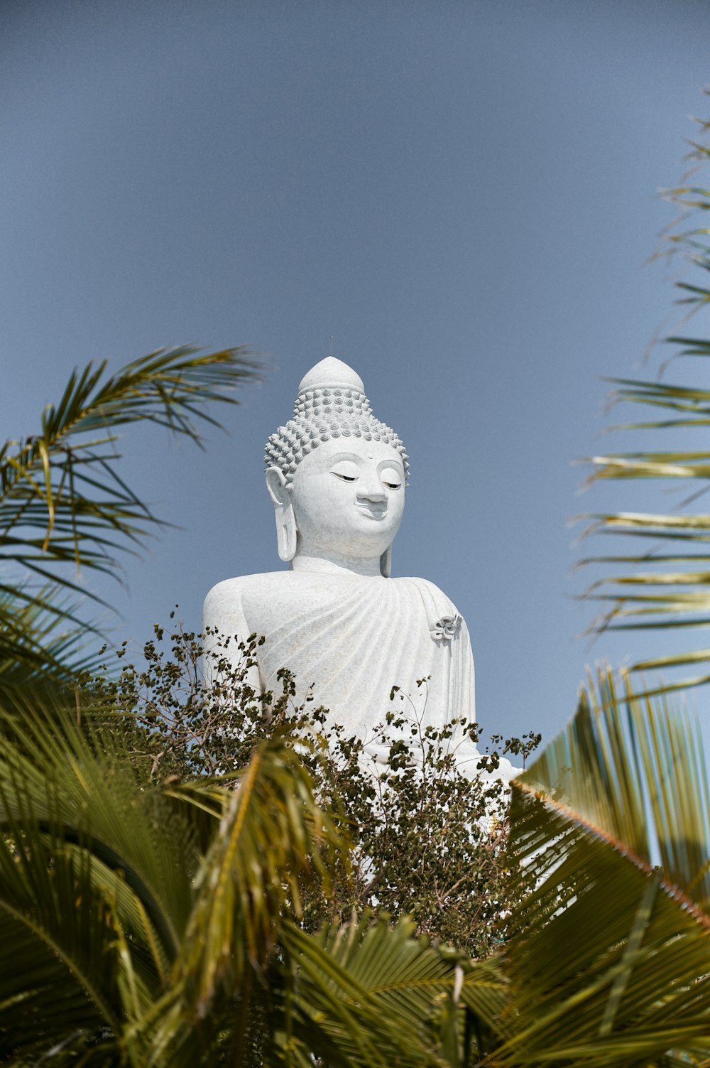 Weiße Buddha-Statue in der Nähe von Green Palm während des Tages