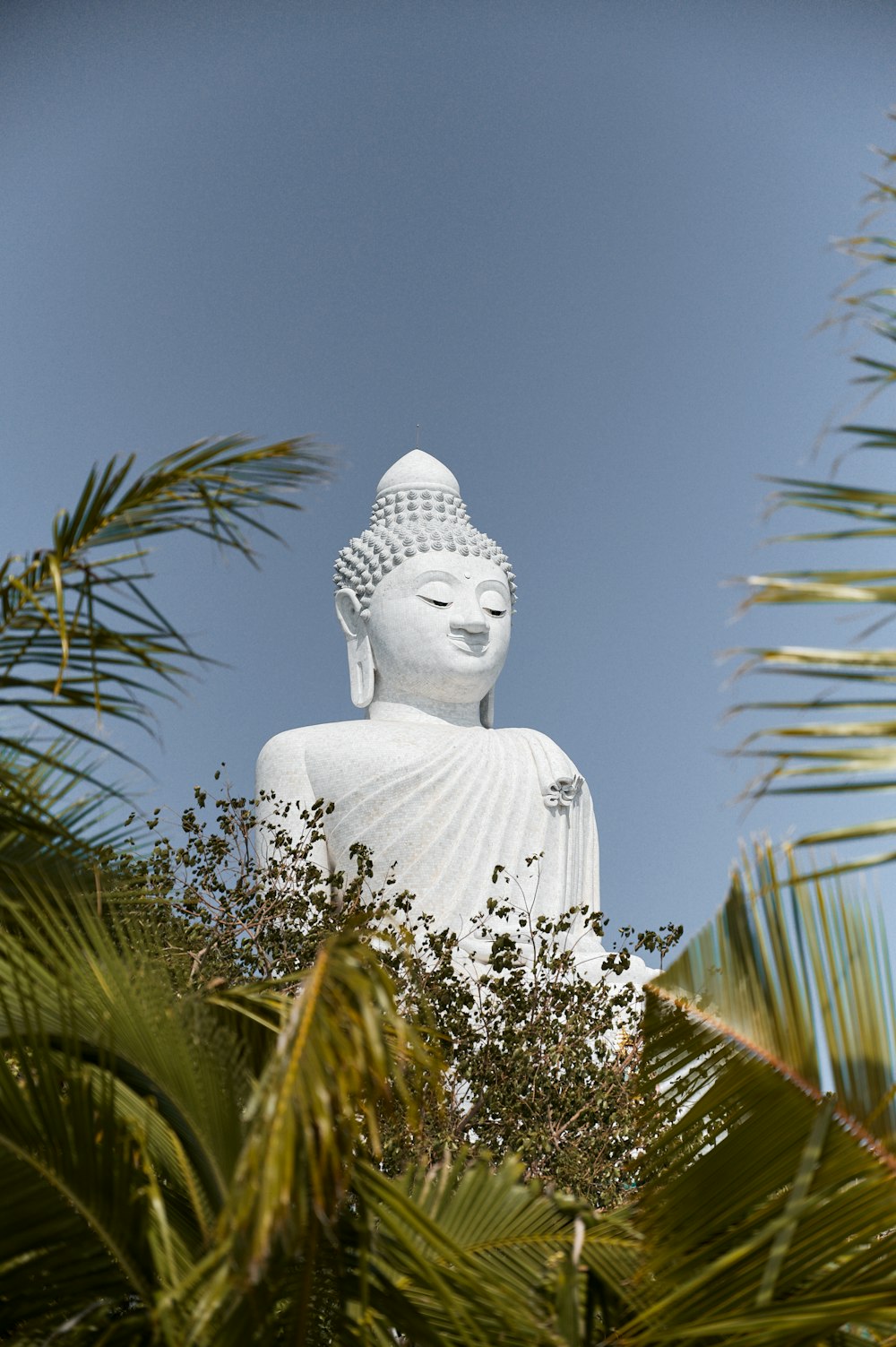 Statua bianca del Buddha vicino alla palma verde durante il giorno