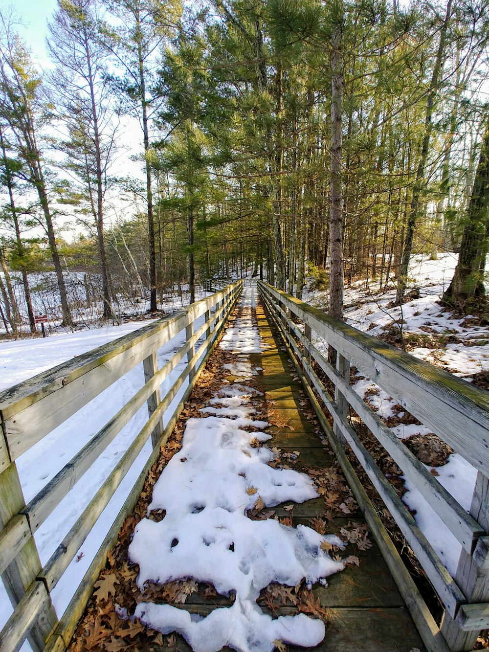 brown wooden bridge in the woods during daytime