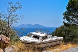 white and brown boat on green grass field during daytime