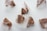 Several triangular tea bags filled with loose leaf tea containing various dried ingredients. The tea bags are translucent, allowing the different textures and colors of the tea to be visible. They are spread out on a plain white surface.