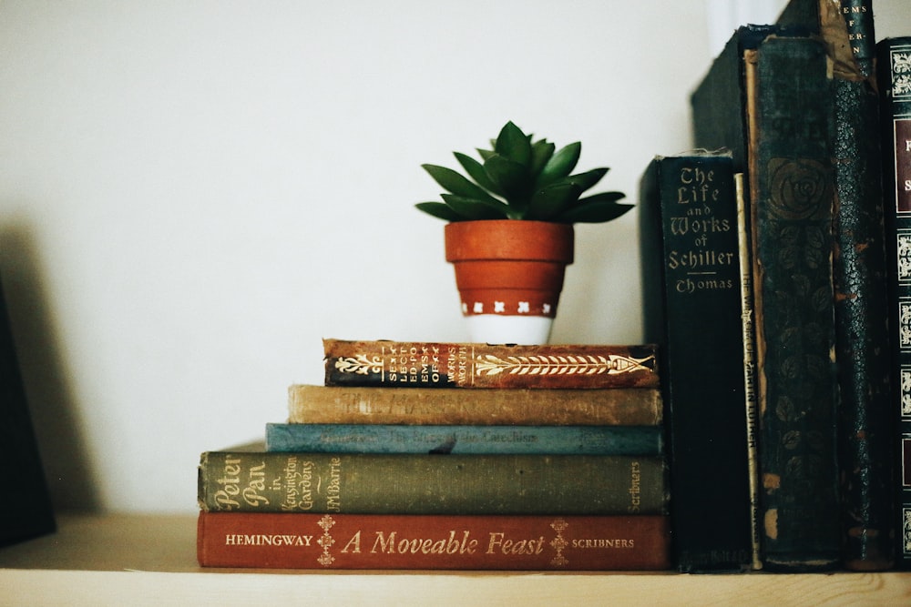 Collezione di libri su scaffale di legno marrone