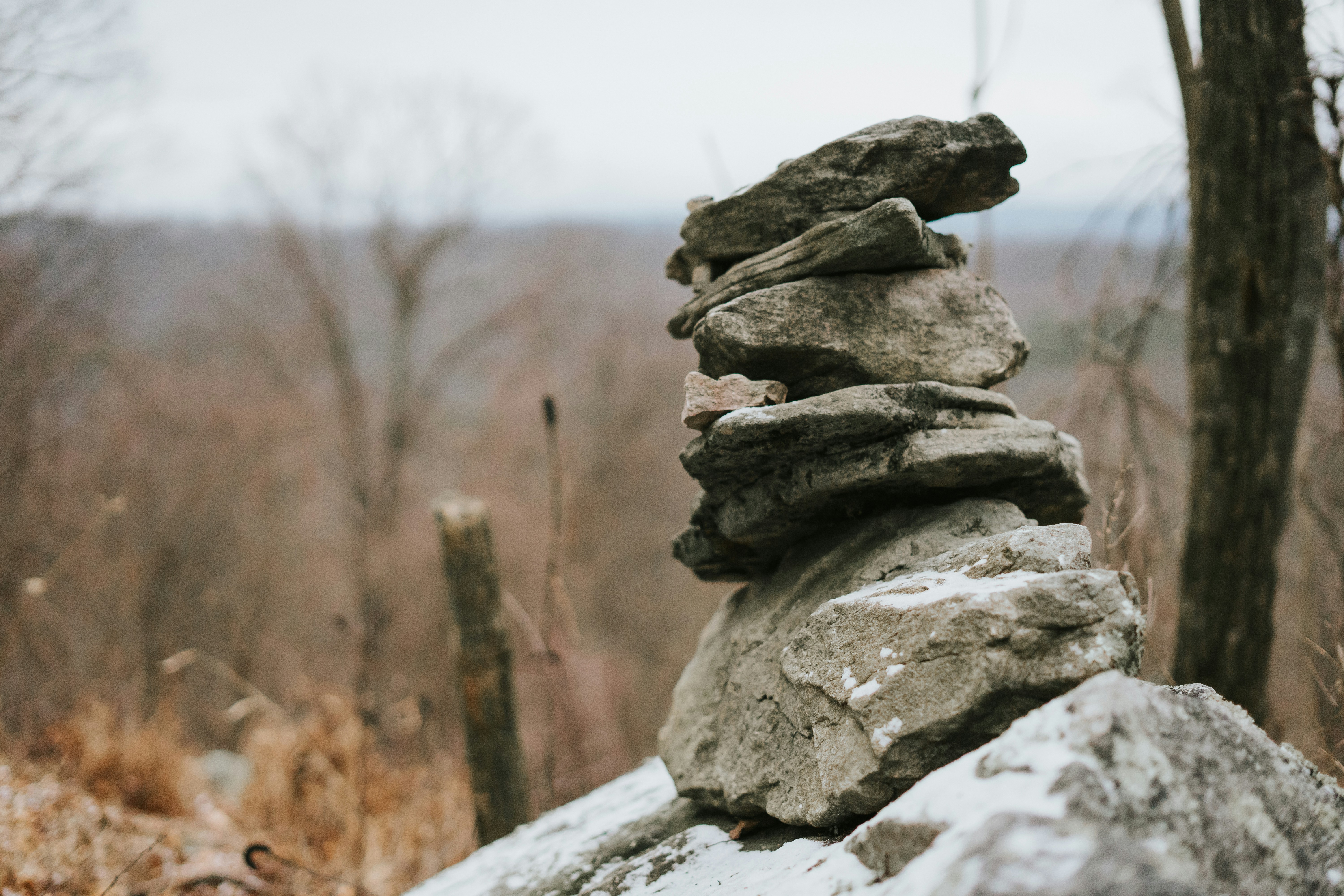Trivia nights in Berkeley, United States