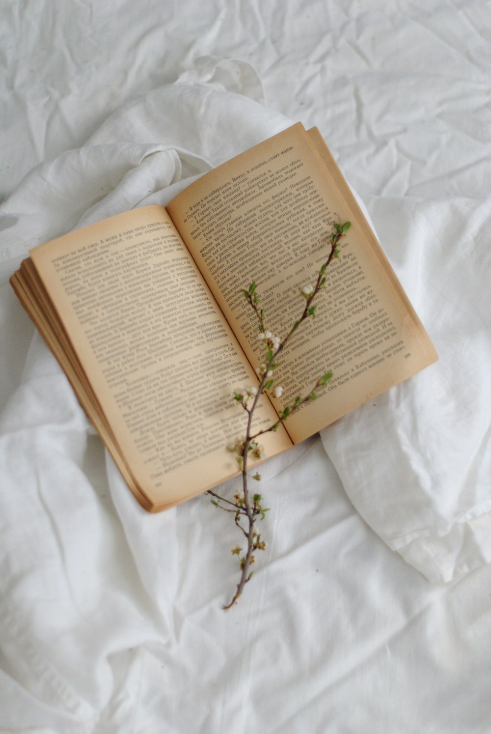 Planta verde en la página del libro