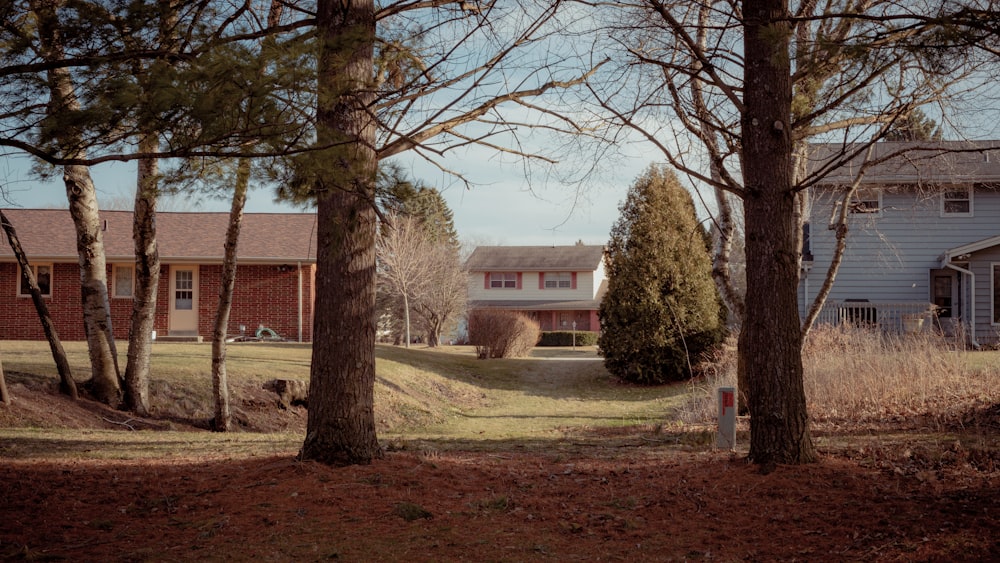 brown bare trees near brown brick building during daytime