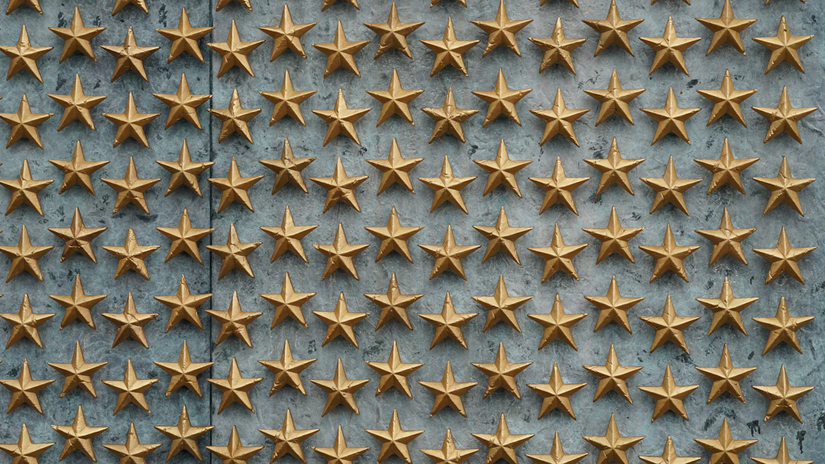 Black and white star textile