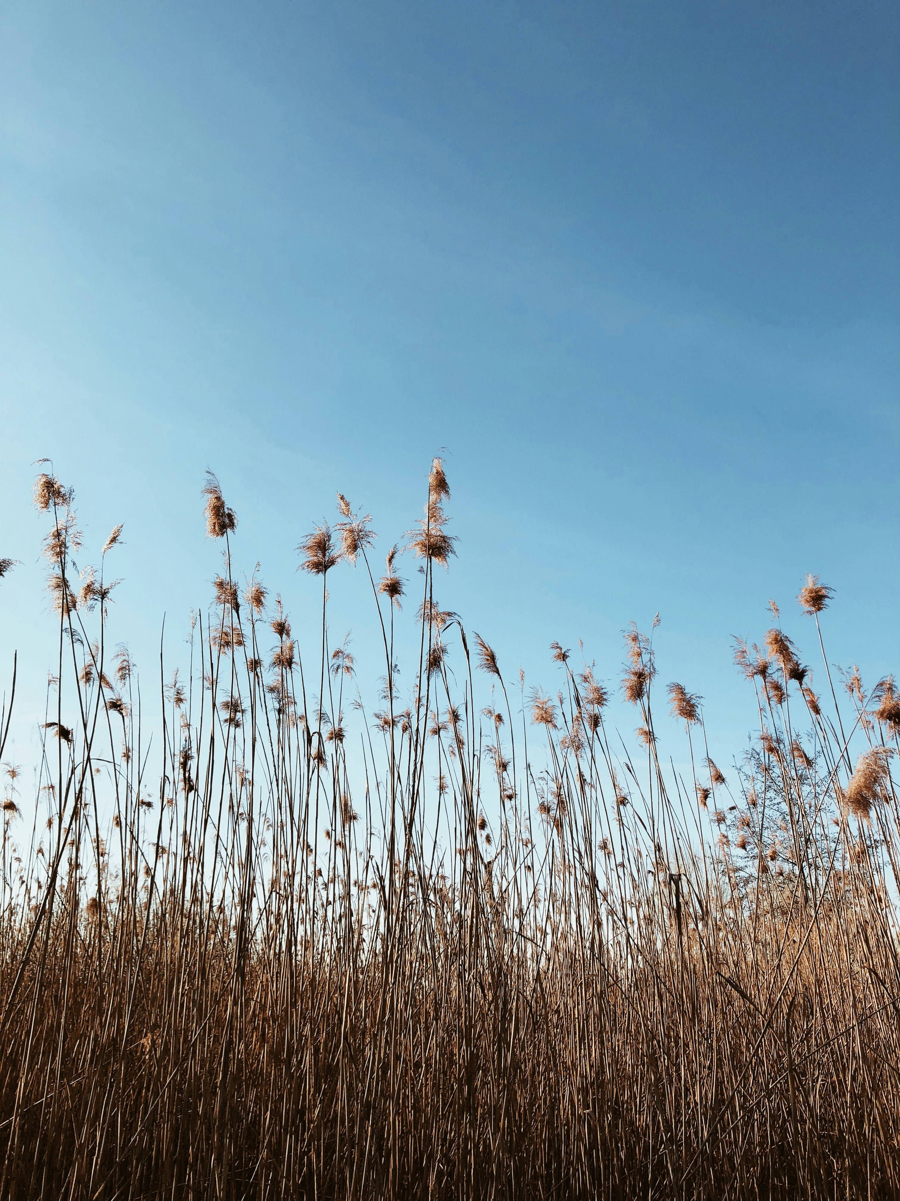 Photo by veronicacapisani