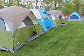 A row of tents set up on a grassy field, with each tent featuring different colors such as green, gray, and blue. The background shows trees with budding leaves, suggesting a spring or early summer setting.