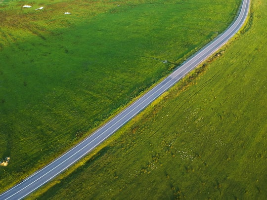gray asphalt road between green grass field during daytime in Bihor County Romania