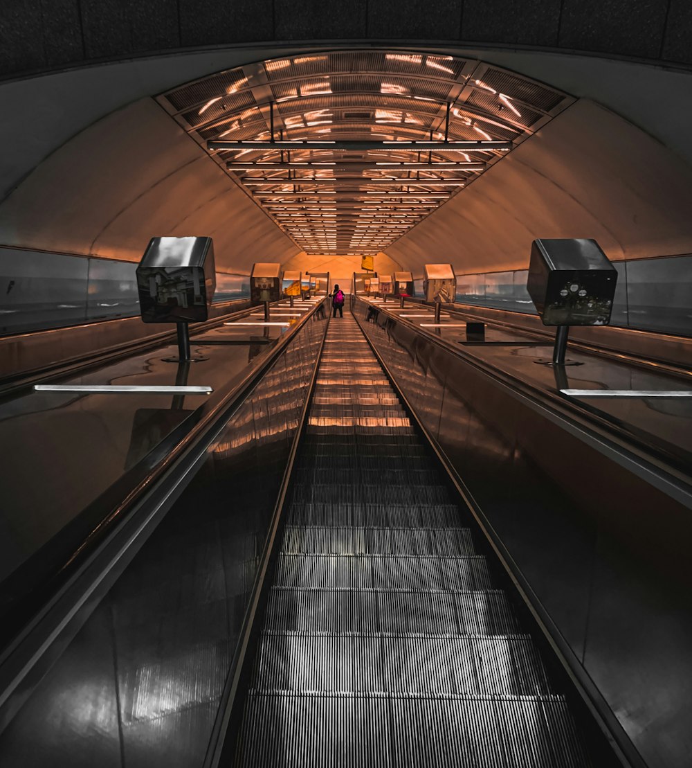 people walking on tunnel during daytime