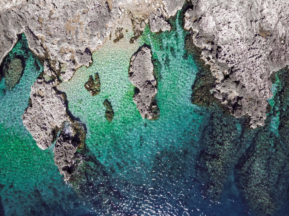 aerial view of green and brown land