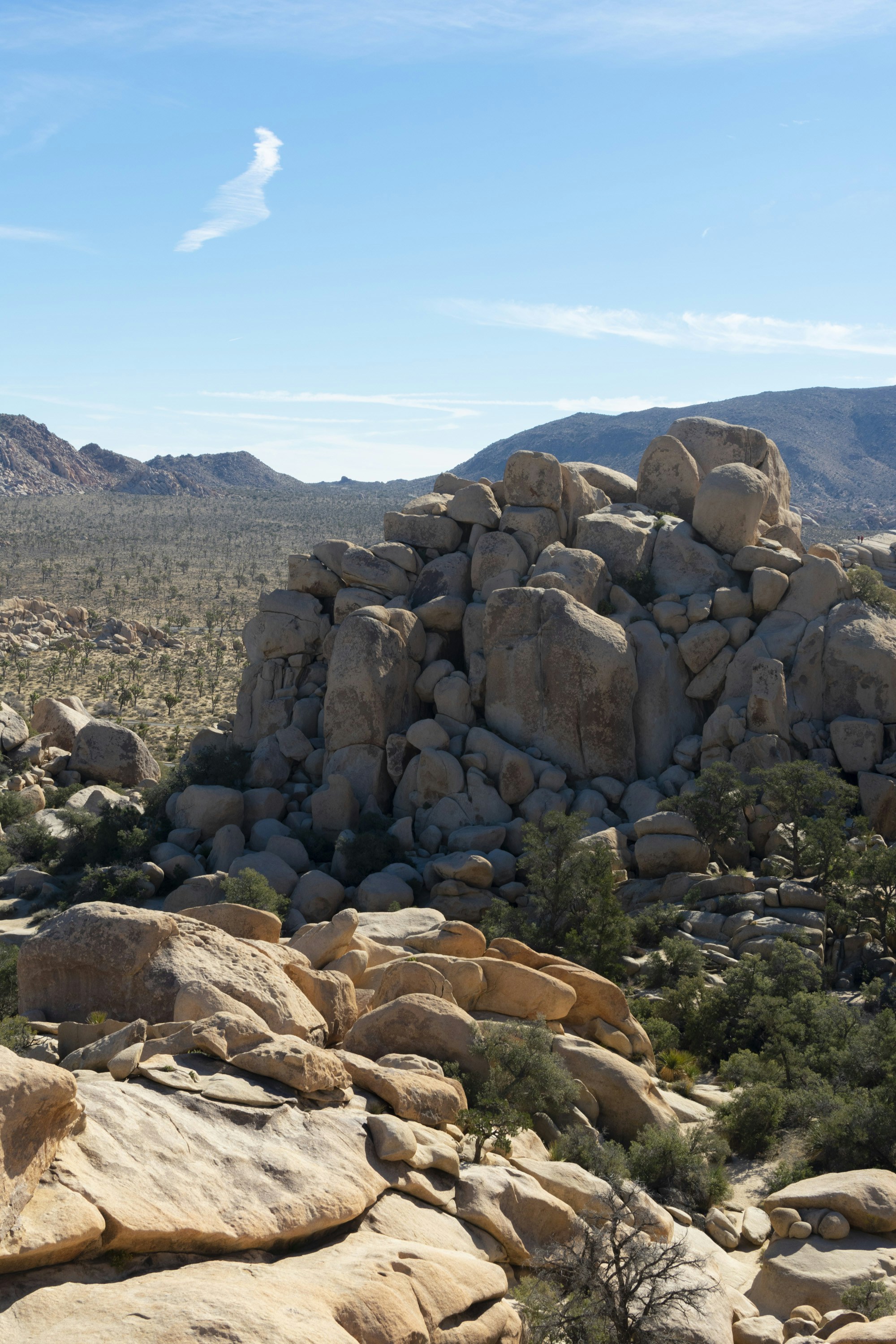 Photo by patrickperkins