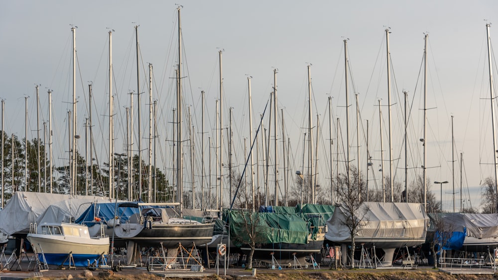 blue and white boats on dock during daytime