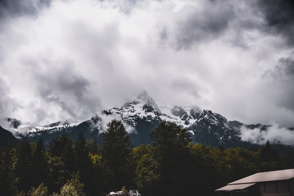 green trees near mountain under white clouds during daytime