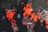 A world map highlighting various regions with large red circles, likely representing data points or incidents across different continents. The dark background makes the red circles stand out prominently, with labels for continents and oceans visible.