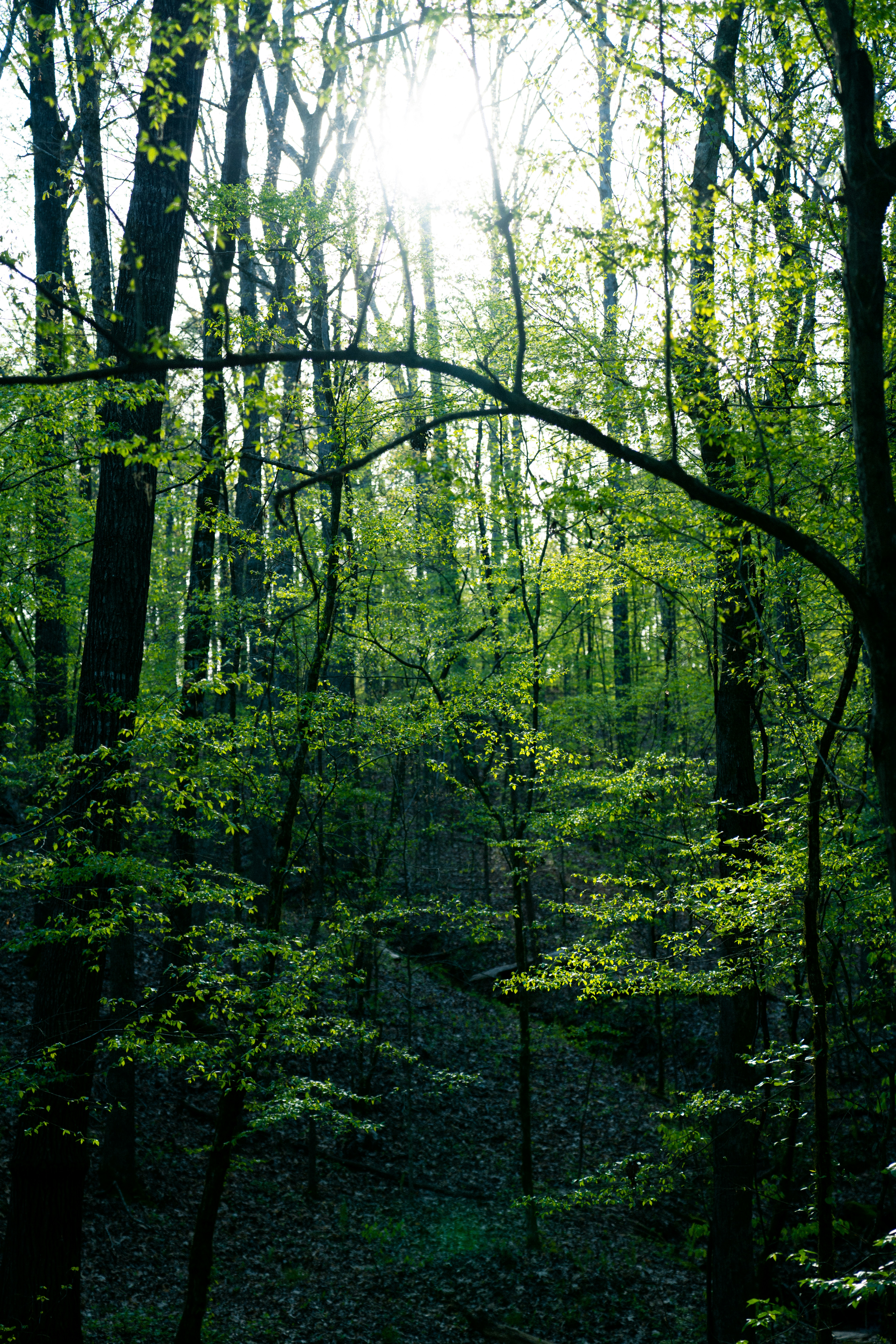 Photo by whitfieldjordan