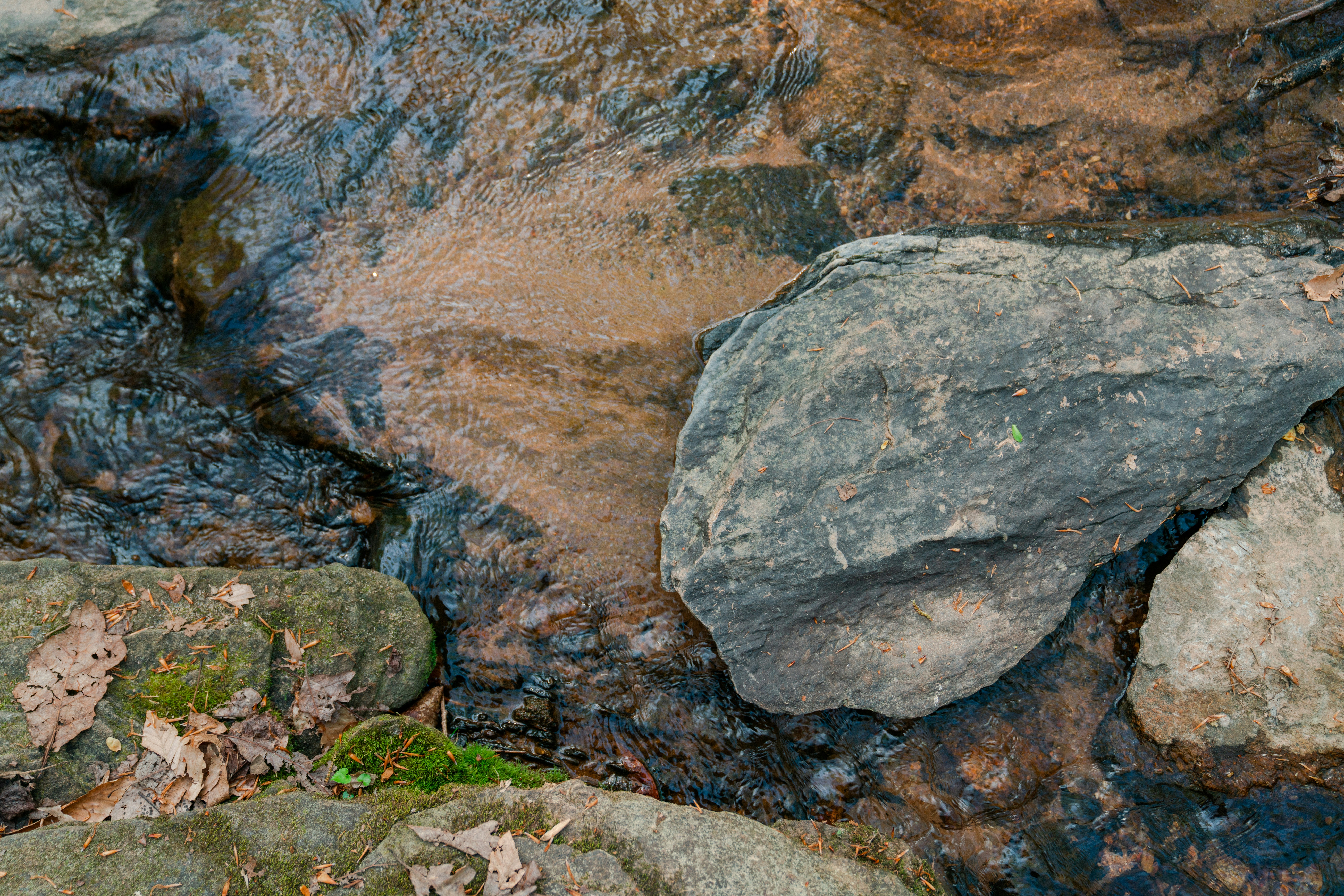 Photo by whitfieldjordan