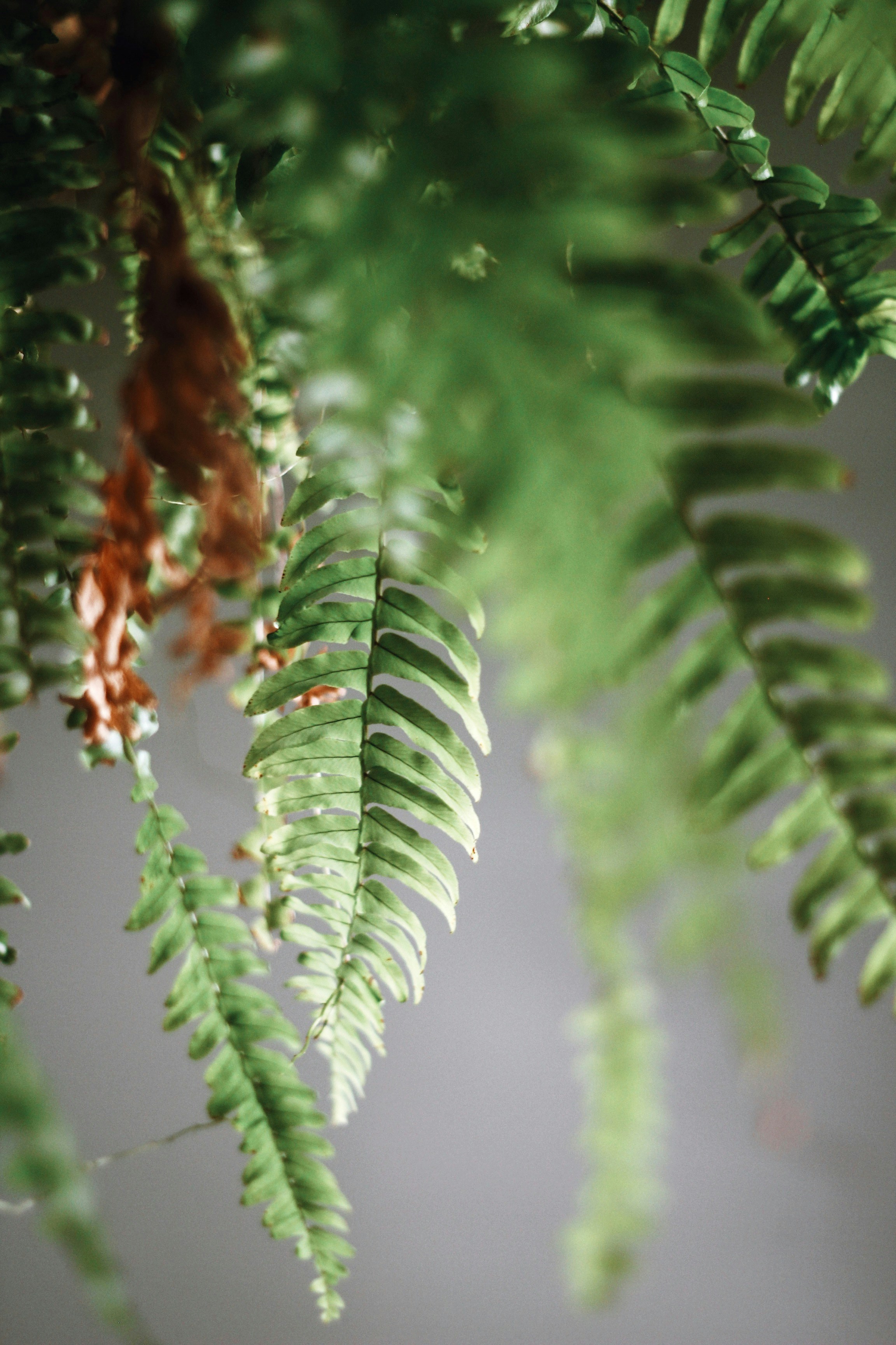 Photo by nathanareboucas