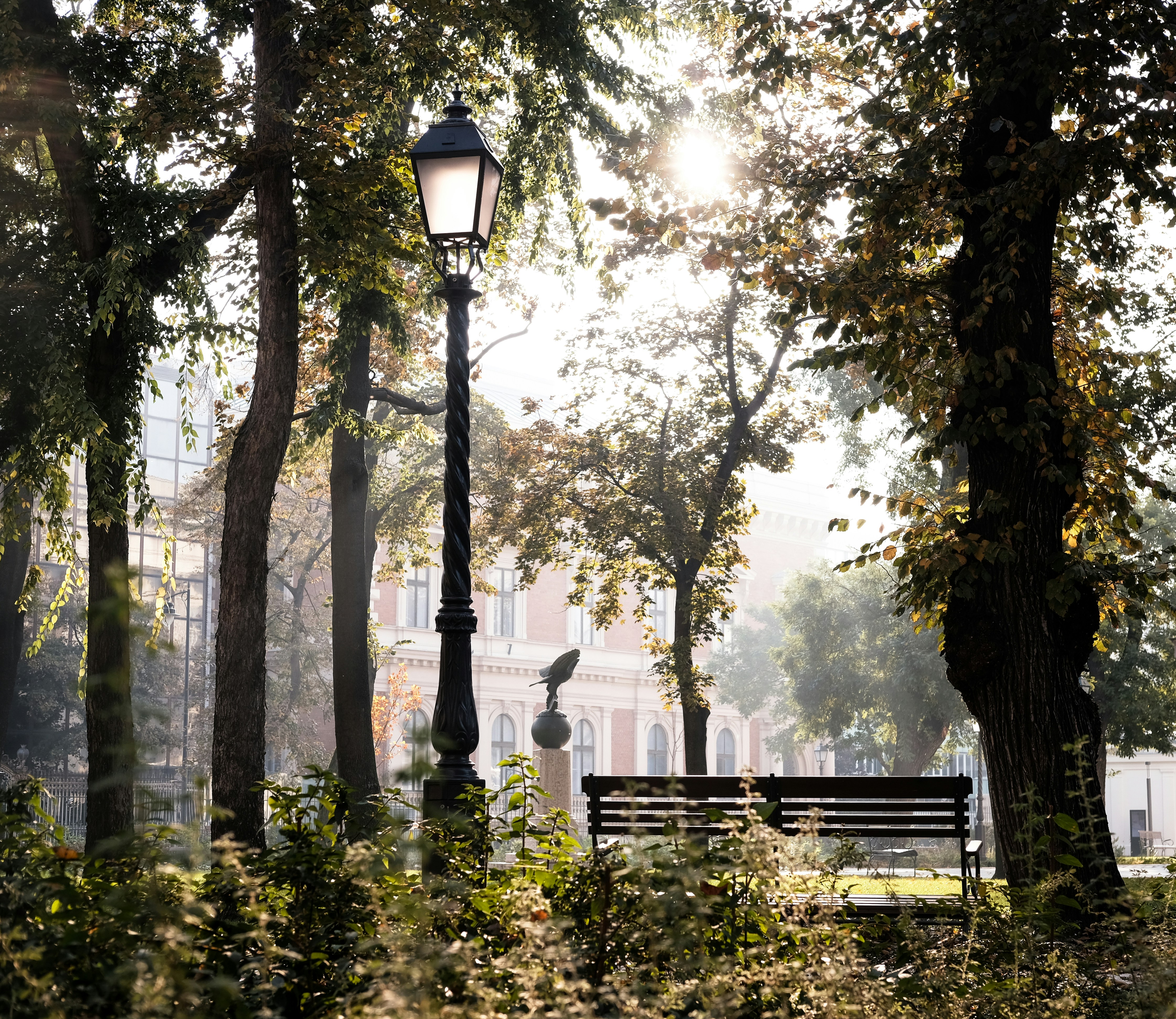 Photo by cosminserban