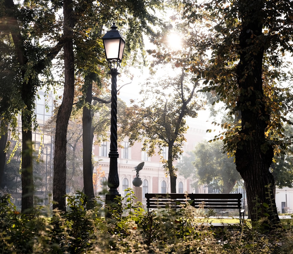 black street light near green trees during daytime