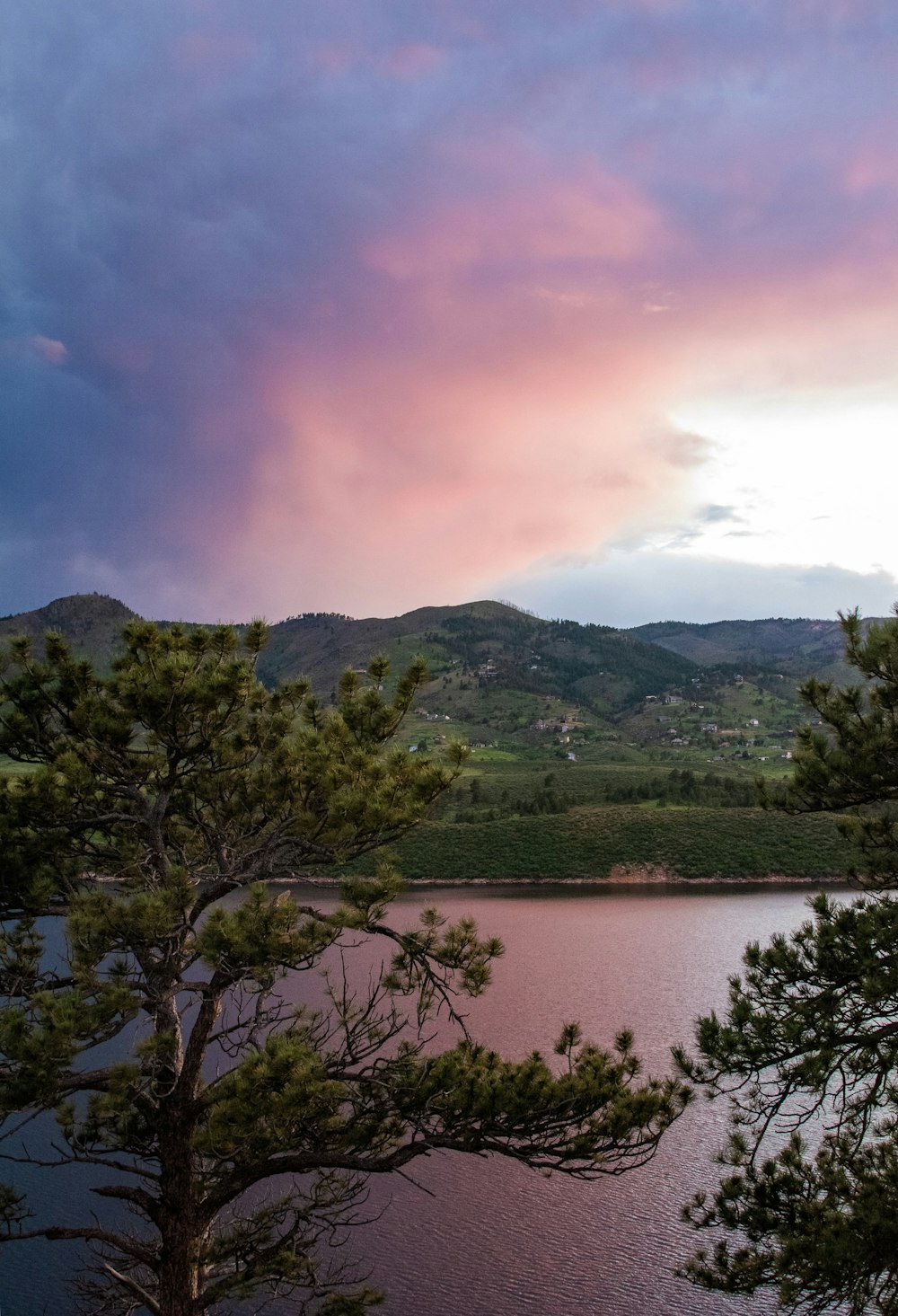 green trees near lake under cloudy sky during daytime