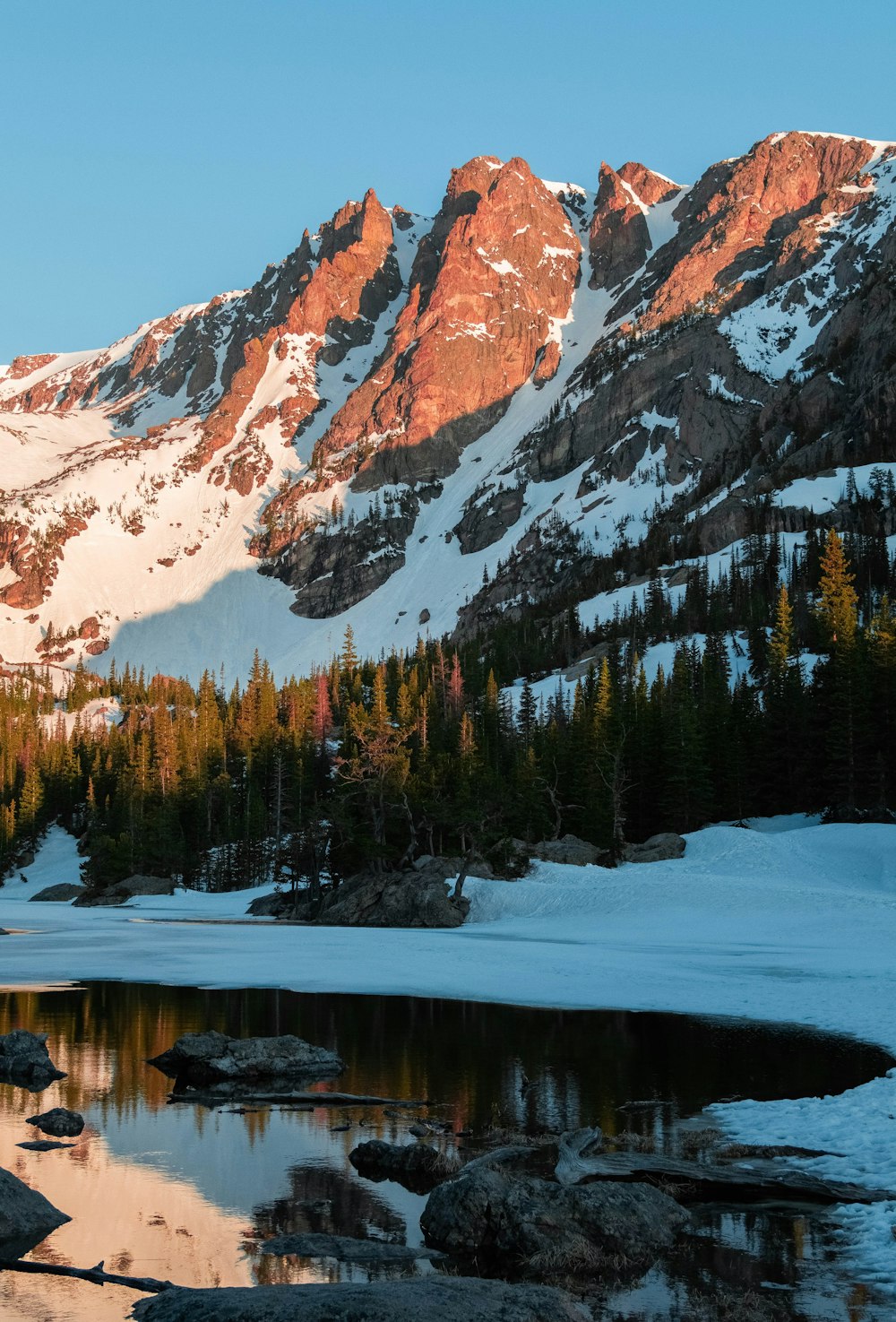 green pine trees near snow covered mountain during daytime