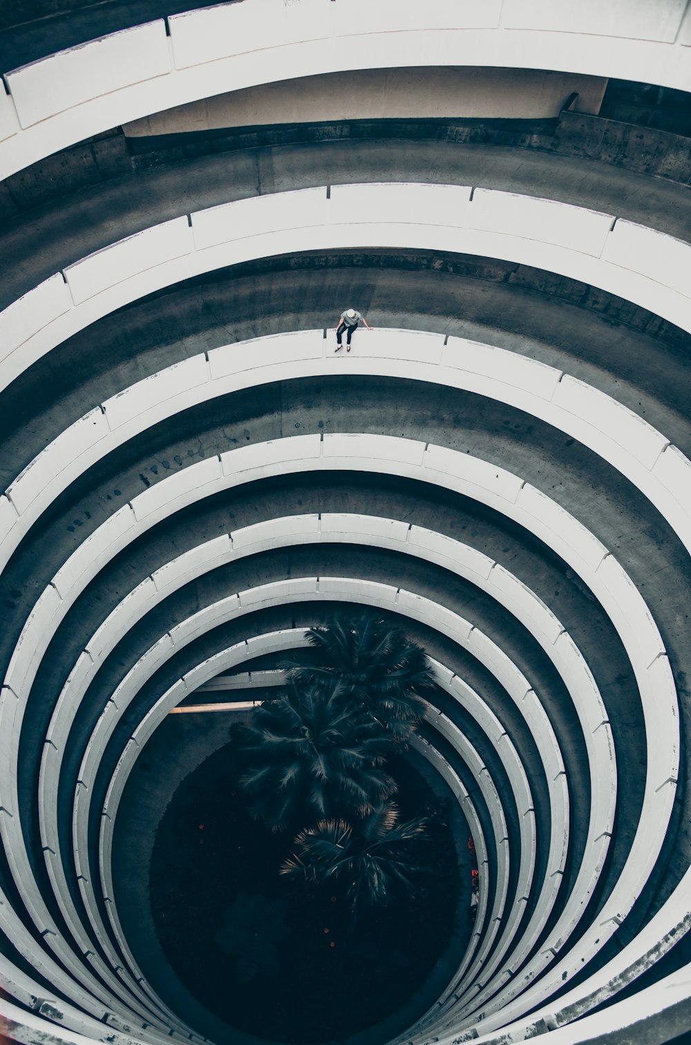 green palm tree on white spiral tunnel