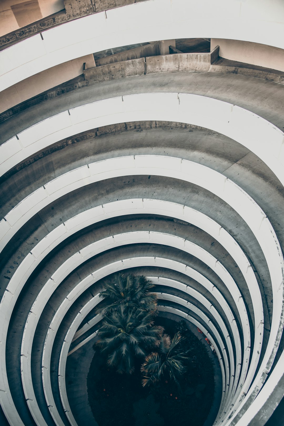 green palm tree near white spiral stairs