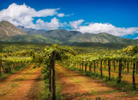 green grass field near mountain under blue sky during daytime