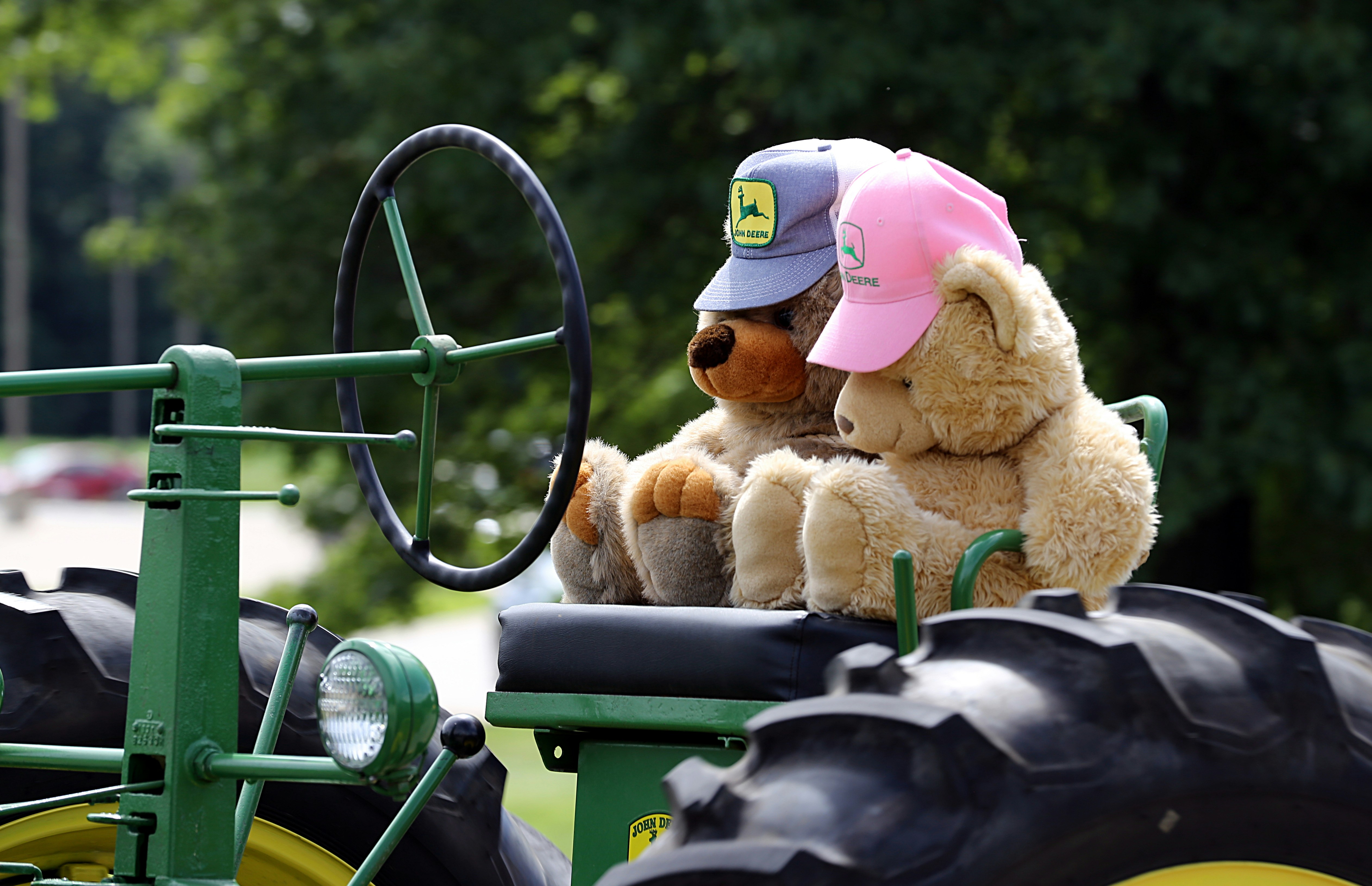 brown teddy bear on green and black tractor bears teams background