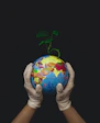 Hands in white latex gloves holding a globe with a small green plant