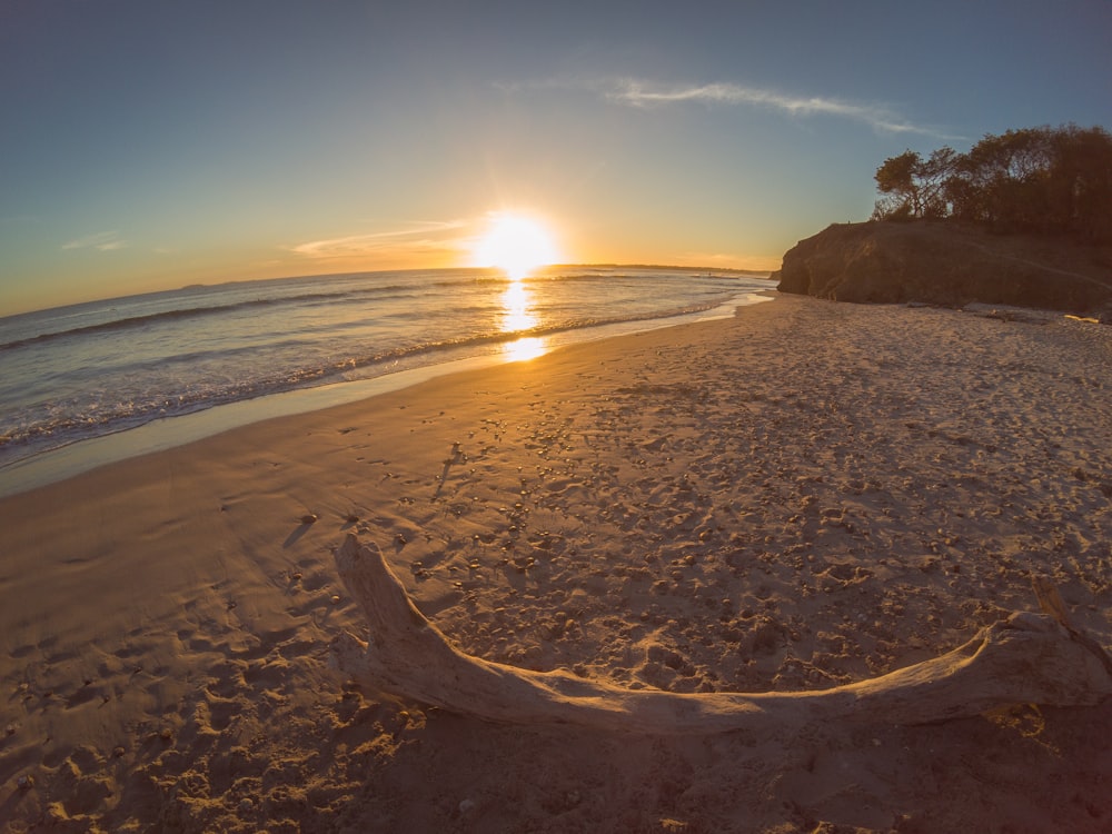 brown sand beach during sunset