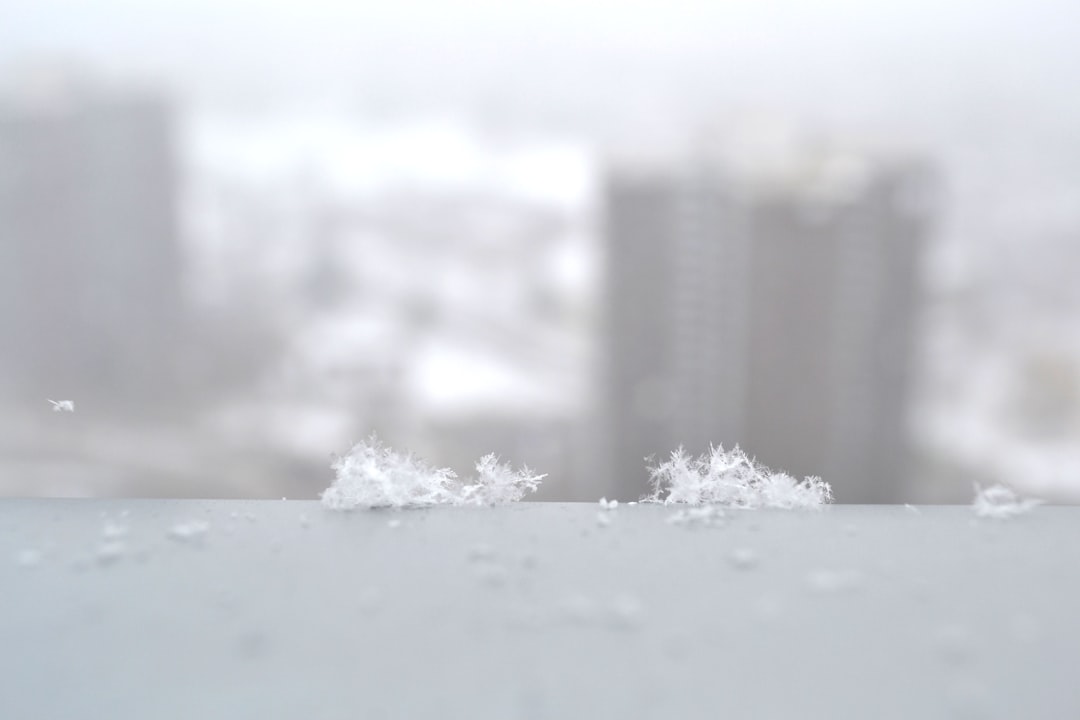 white snow on the ground